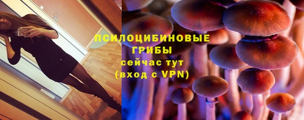 спайс Алексеевка