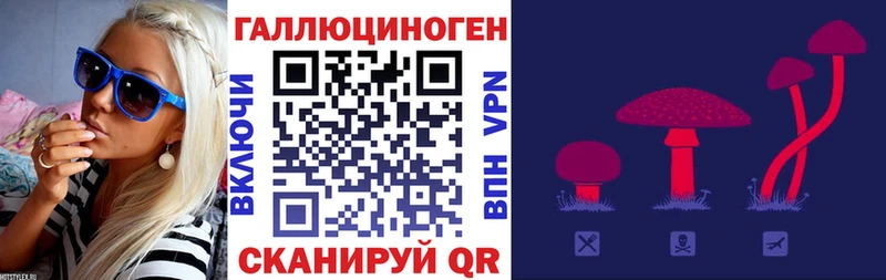 Псилоцибиновые грибы мухоморы  Карачаевск 